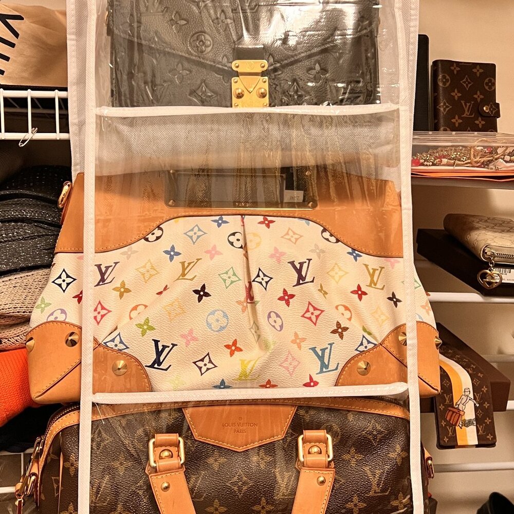 Handbag Hanging Purse or Shoe Organizer for Closet, 6 Pocket Storage top hanger